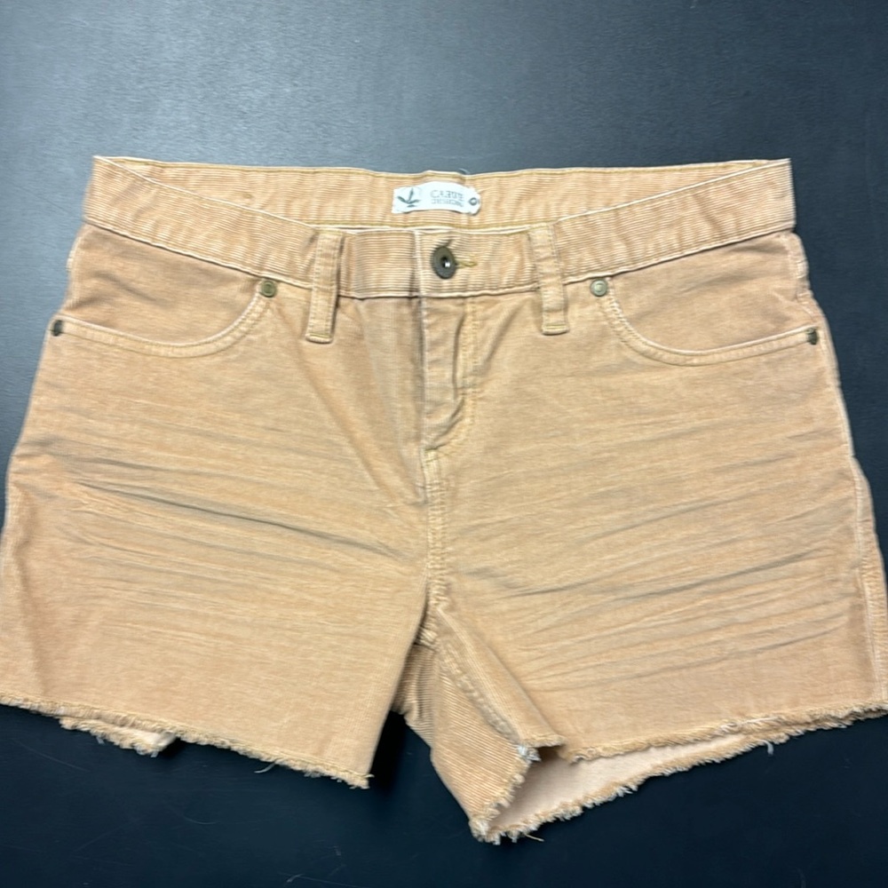 Carve Designs Oahu 4 inch Shorts Size 4